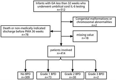 Machine learning predictive models for grading bronchopulmonary dysplasia: umbilical cord blood IL-6 as a biomarker